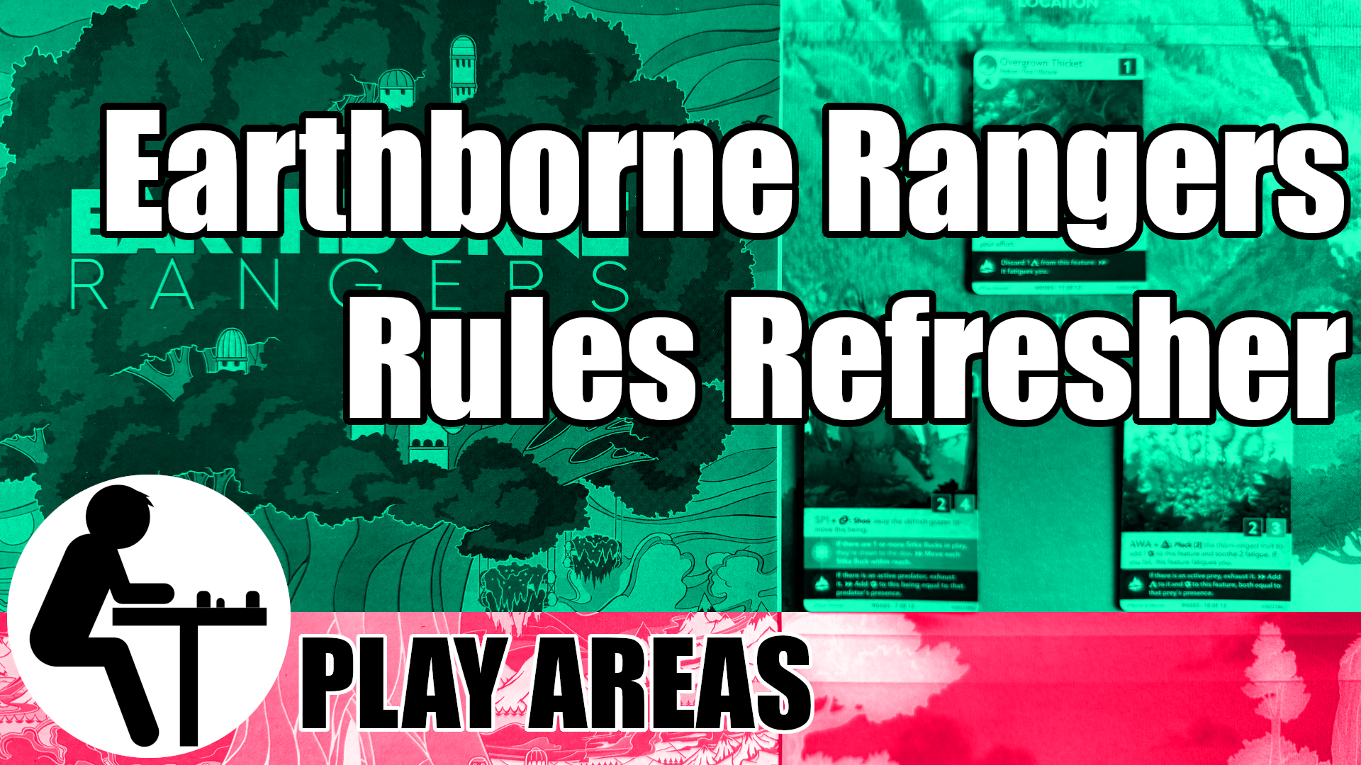 PLAY AREAS